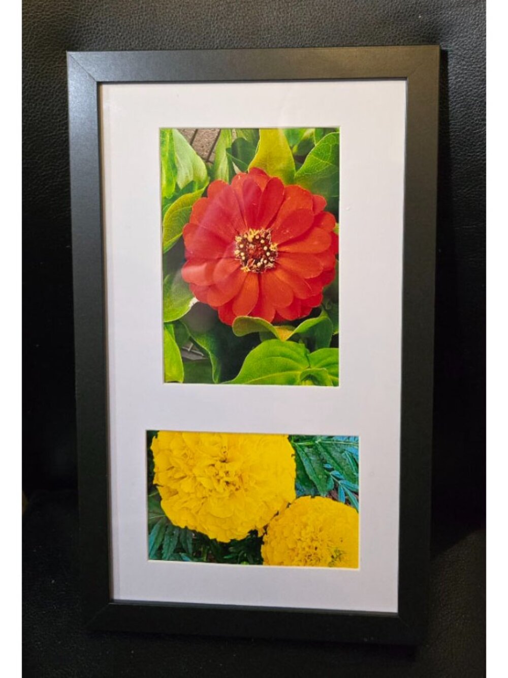 Original Floral Photography Framed Art Red Zinnia Yellow Marigold Flowers 15x9